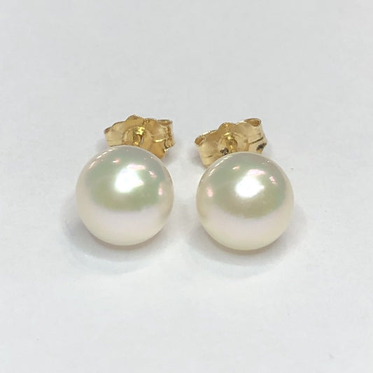 14k Fresh Water Pearl Stud Earrings